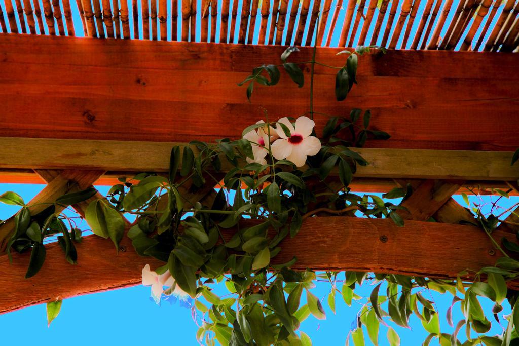 Bonjour Bed and Breakfast Morciano di Leuca Buitenkant foto