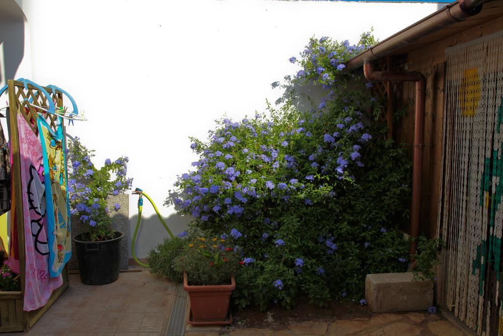 Bonjour Bed and Breakfast Morciano di Leuca Kamer foto