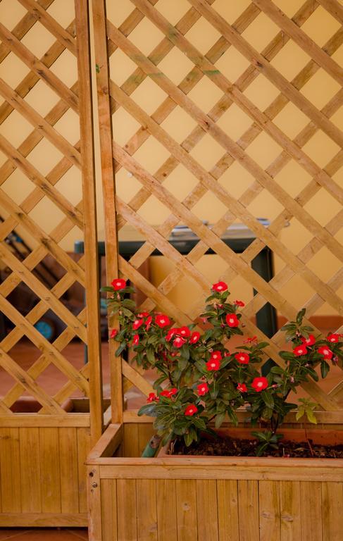 Bonjour Bed and Breakfast Morciano di Leuca Buitenkant foto